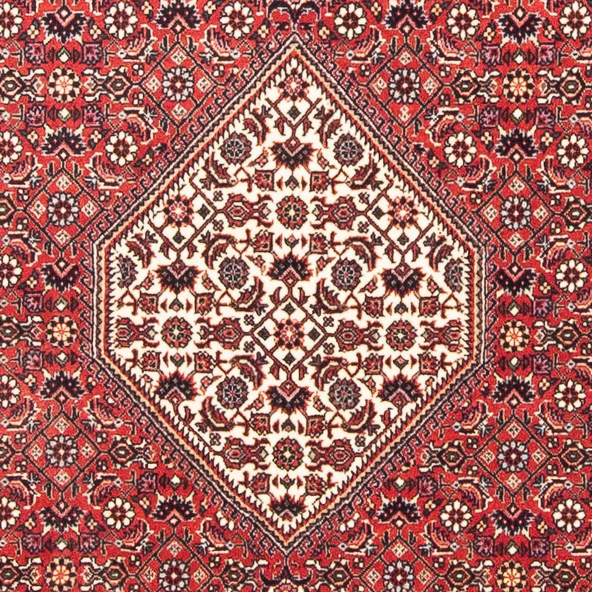 Perserteppich - Bidjar - Royal 112 x 100 cm