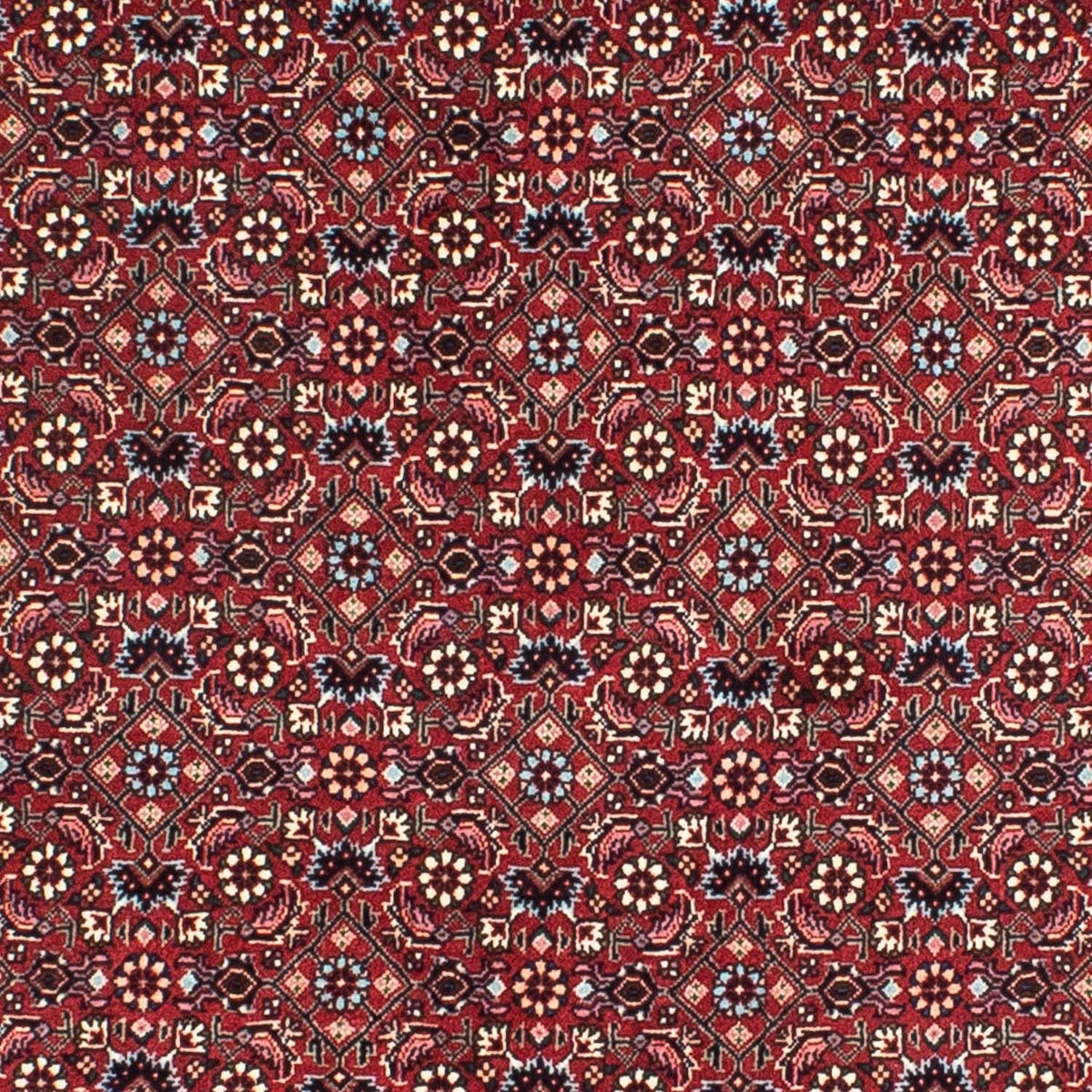 Perserteppich - Bidjar 155 x 155 cm - dunkelrot