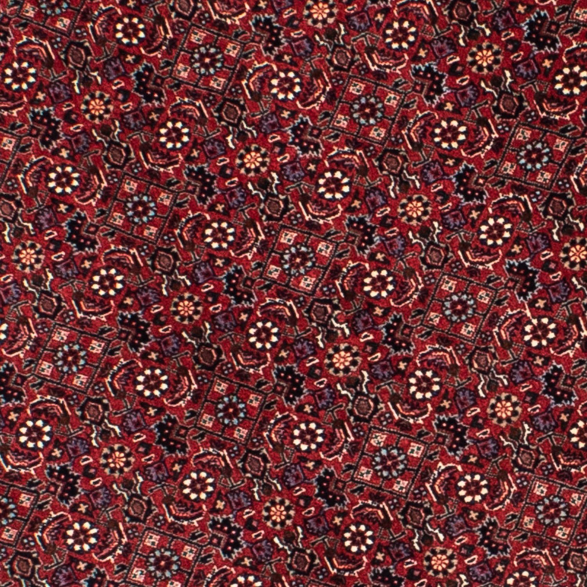 Perserteppich - Bidjar 155 x 155 cm