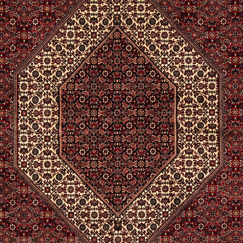 Perserteppich - Bidjar 254 x 205 cm