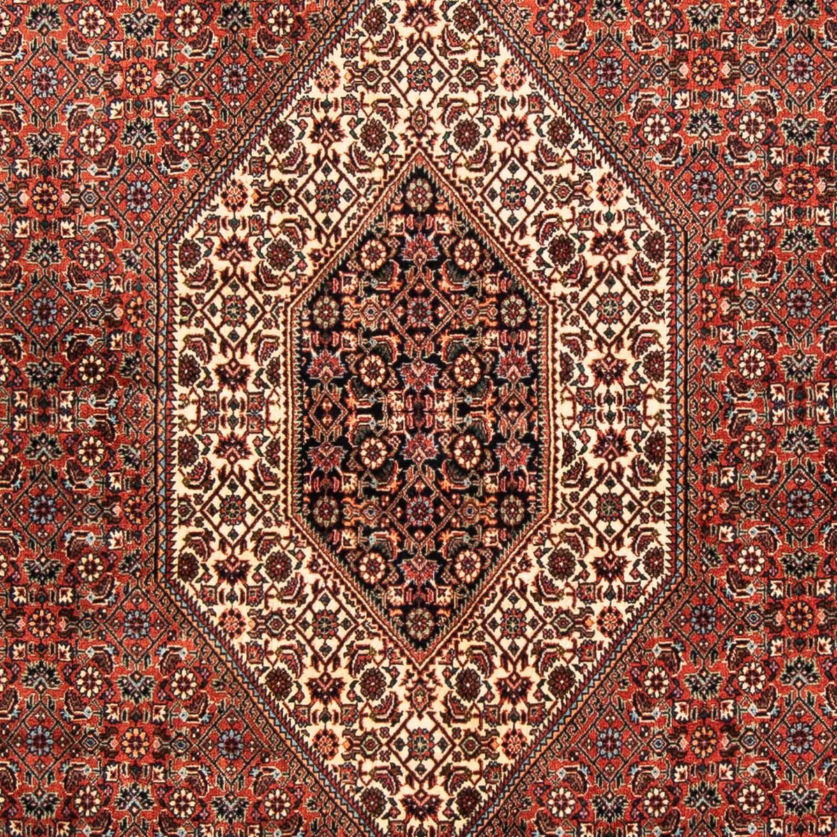 Perserteppich - Bidjar 252 x 150 cm