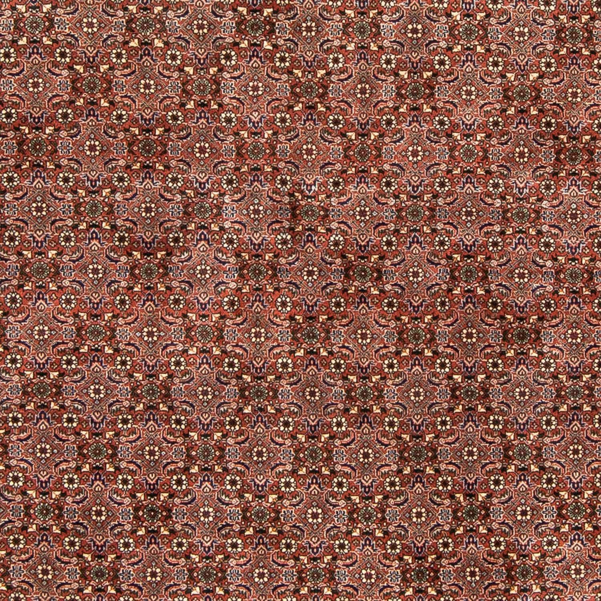 Perserteppich - Bidjar 235 x 167 cm