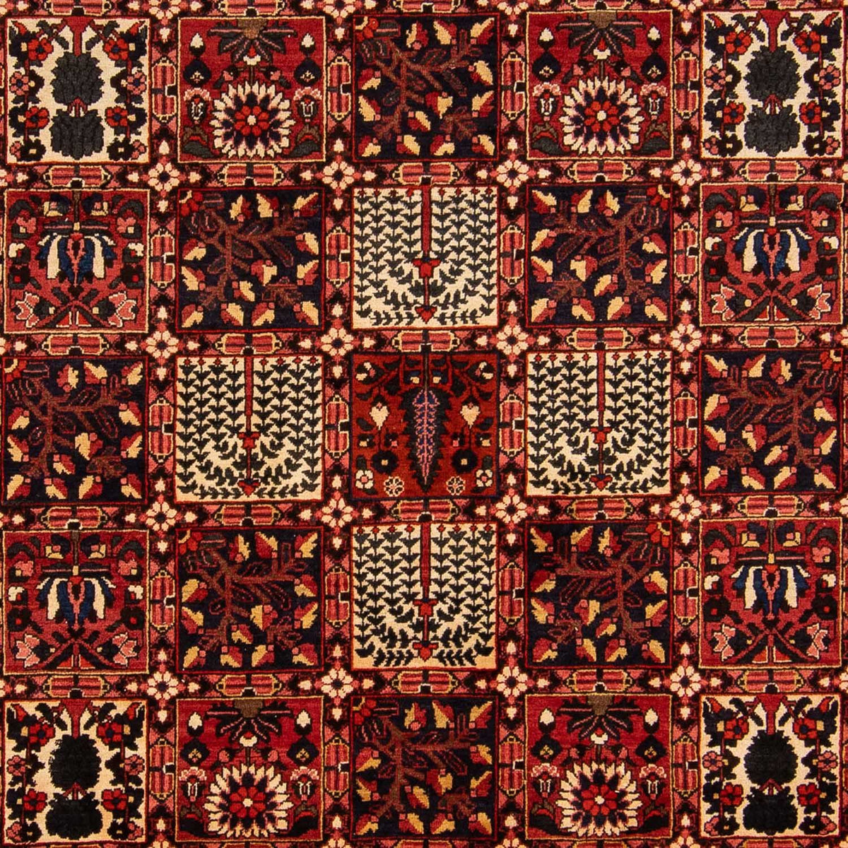 Perserteppich - Nomadic 365 x 265 cm