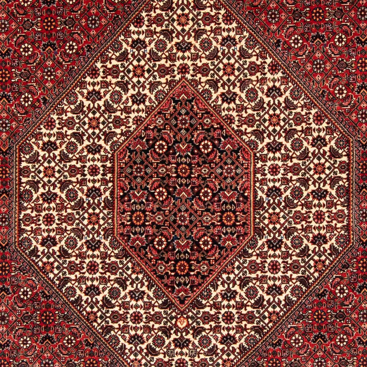 Perserteppich - Bidjar 232 x 153 cm