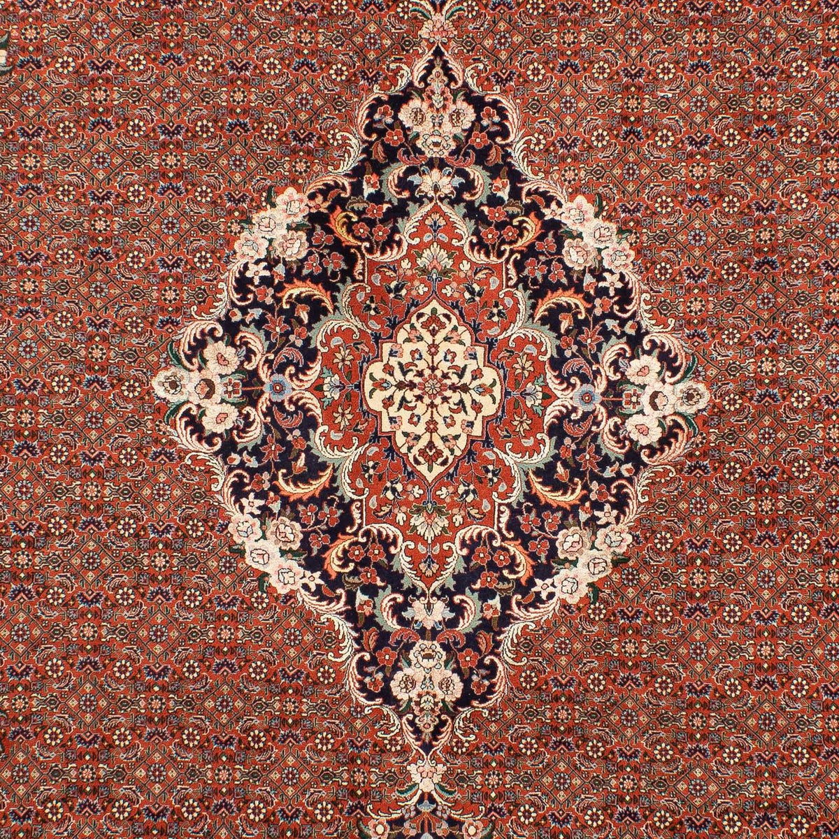 Perserteppich - Bidjar 288 x 206 cm