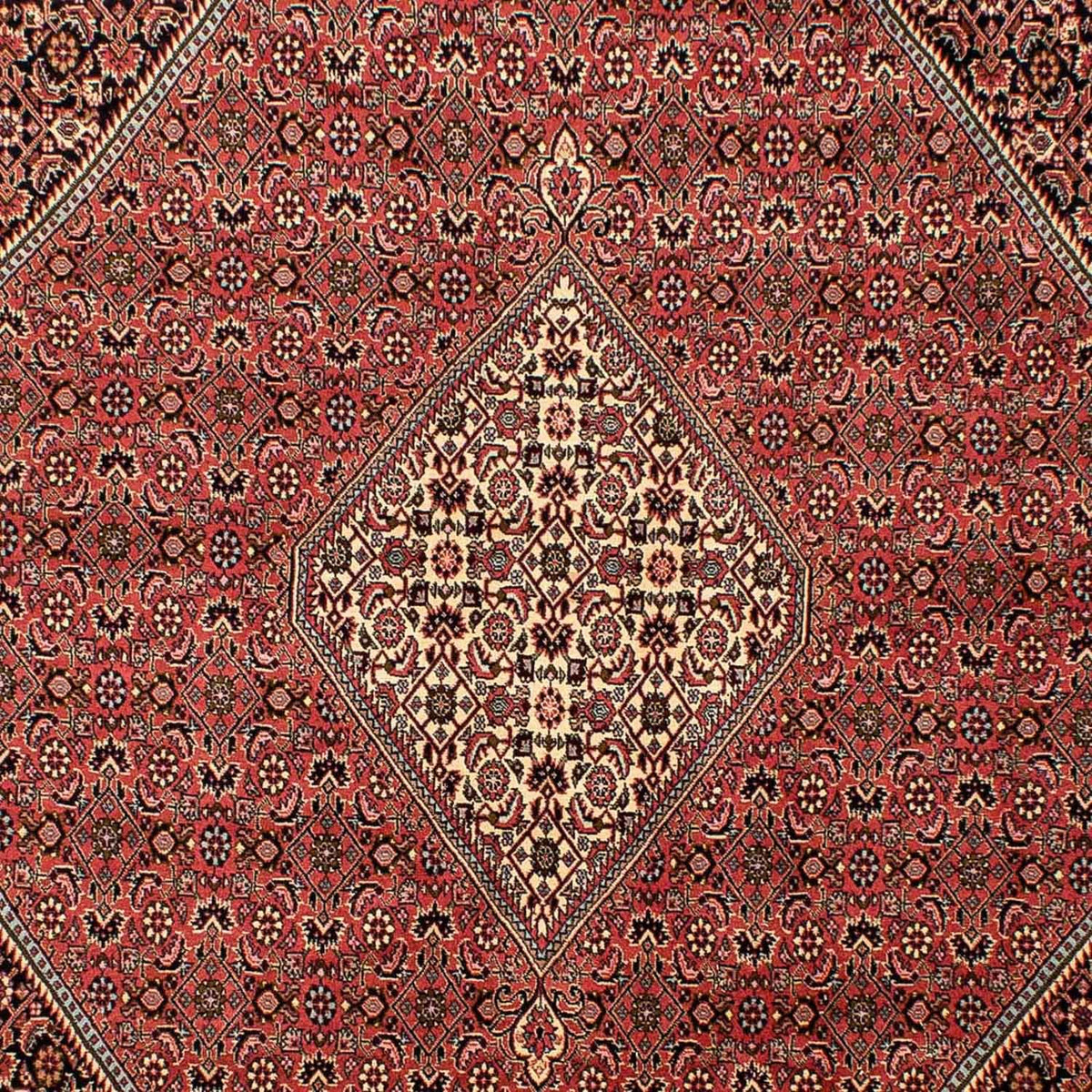 Perserteppich - Bidjar 293 x 205 cm
