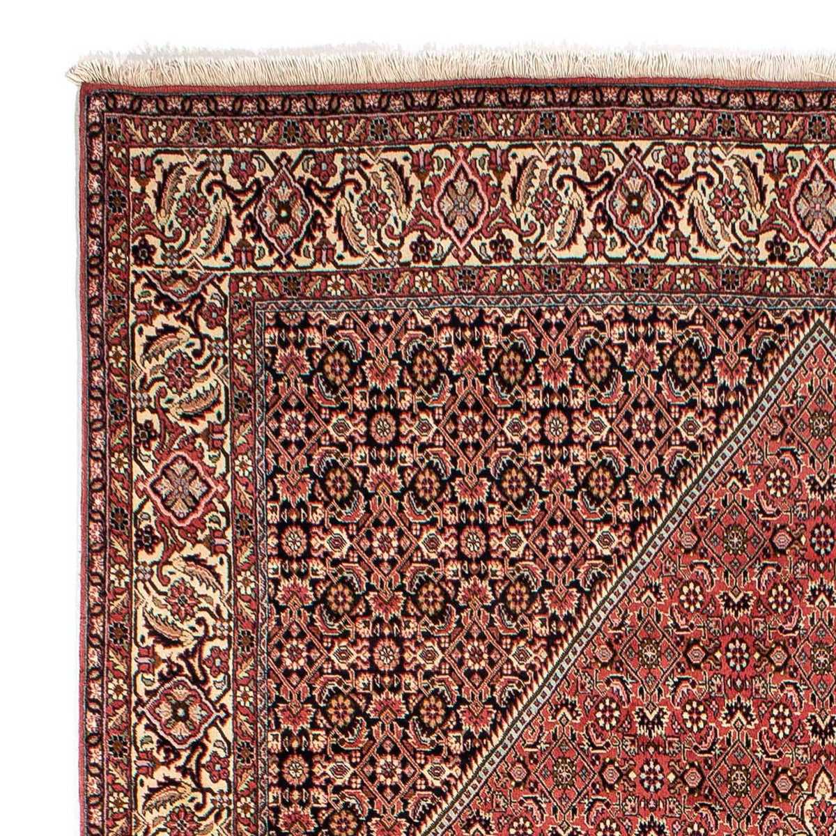 Perserteppich - Bidjar 293 x 205 cm