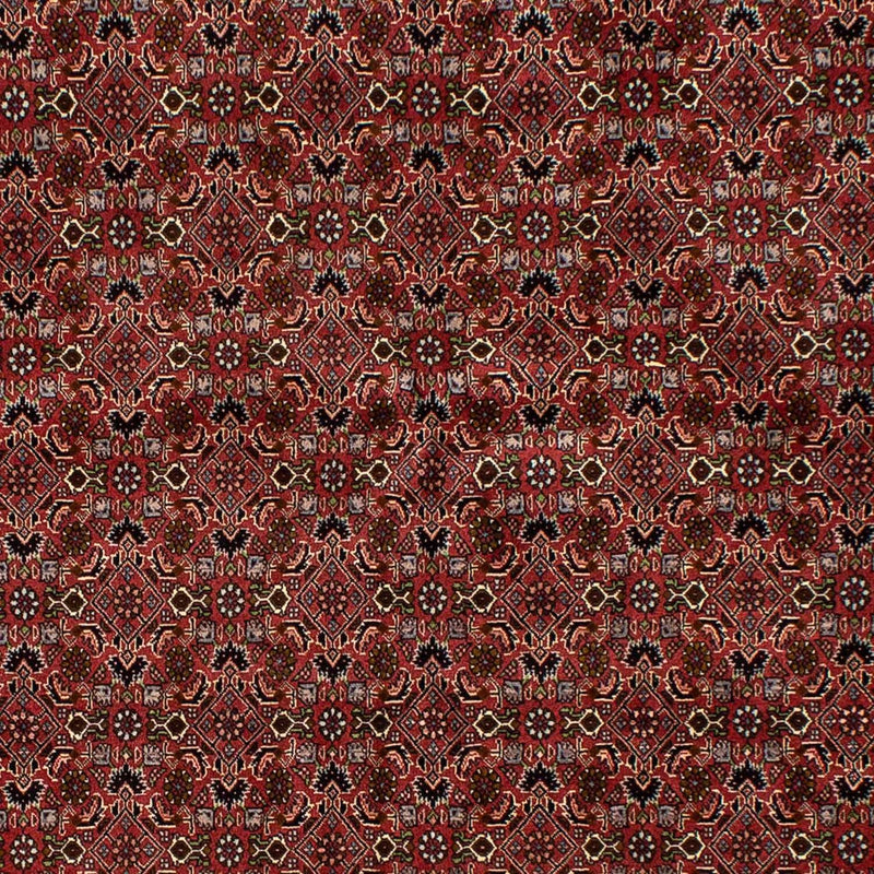 Perserteppich - Bidjar 245 x 177 cm