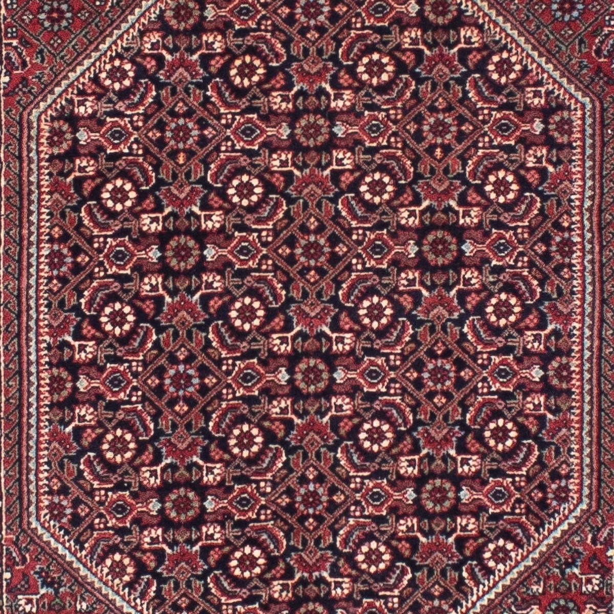 Perserteppich - Bidjar - Royal 315 x 78 cm