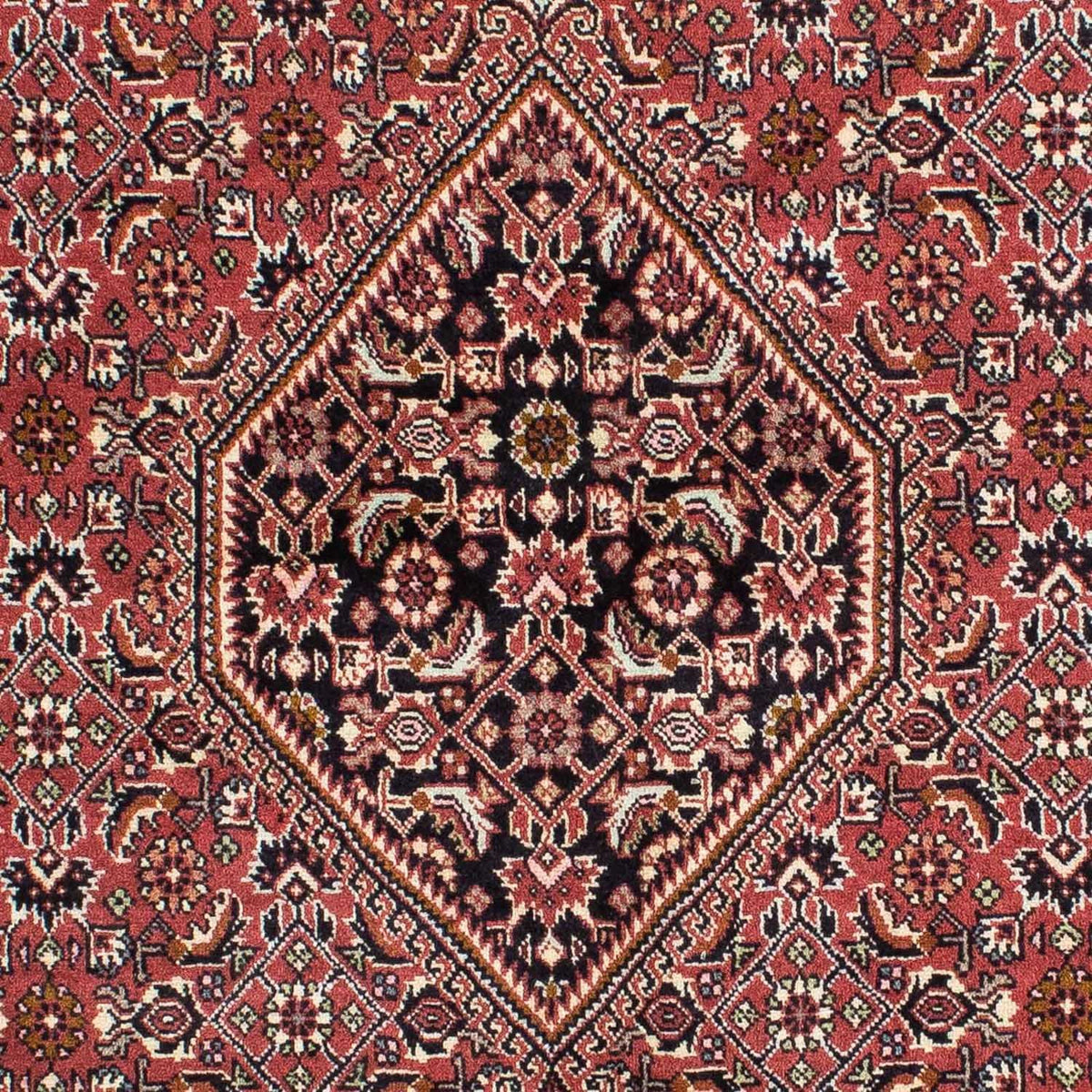 Perserteppich - Bidjar 228 x 142 cm