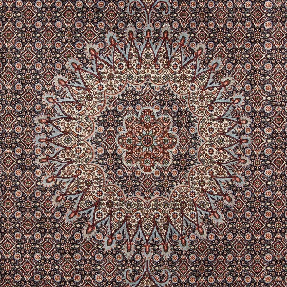 Perserteppich - Classic 273 x 211 cm