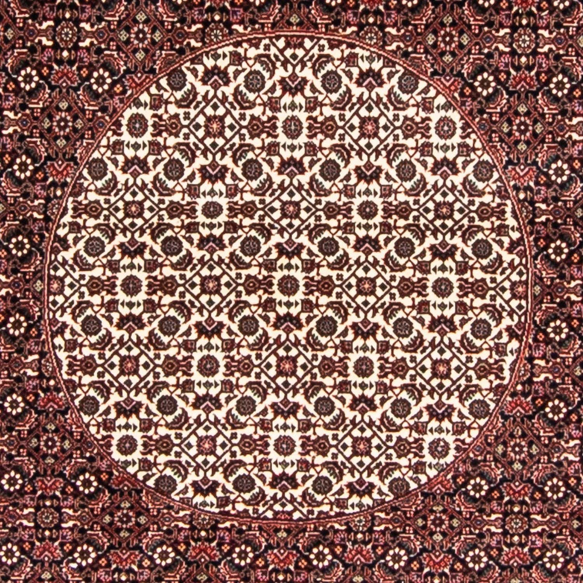 Perserteppich - Bidjar 247 x 247 cm