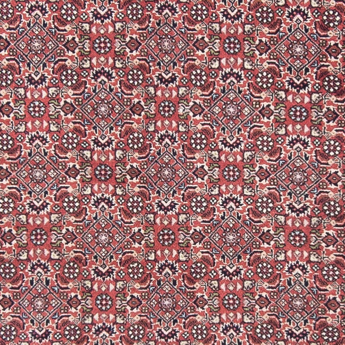 Perserteppich - Bidjar 400 x 88 cm