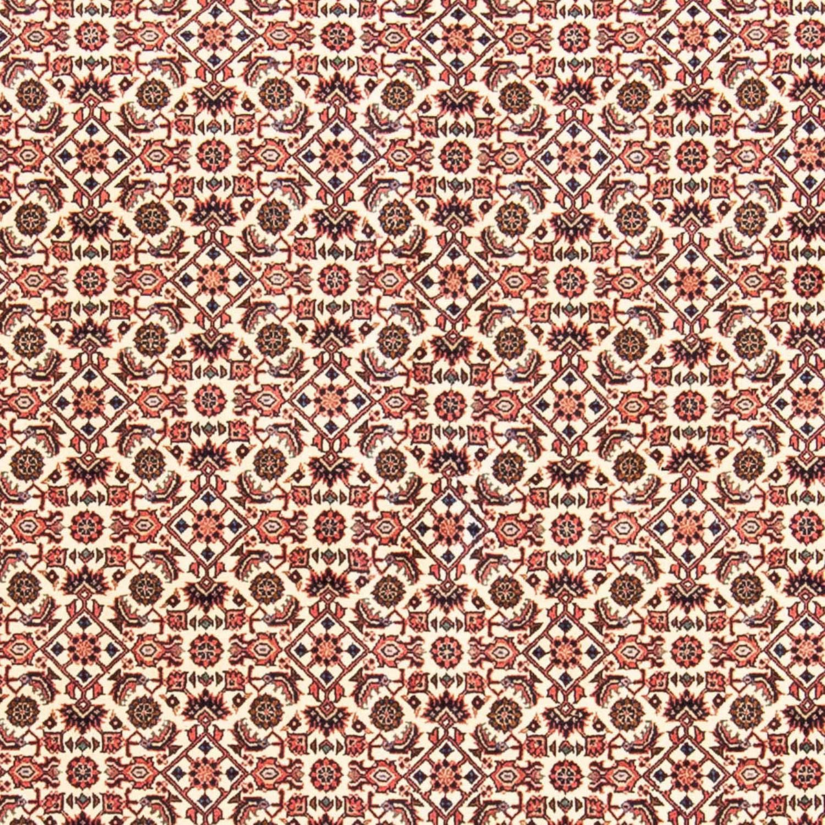 Perserteppich - Bidjar 237 x 170 cm