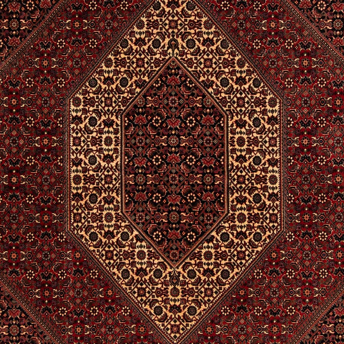 Perserteppich - Bidjar 248 x 200 cm