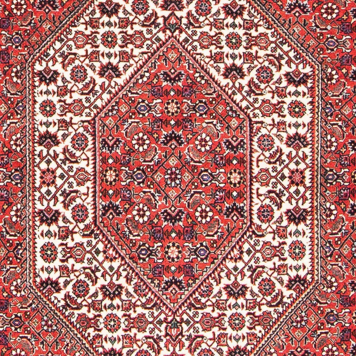 Perserteppich - Bidjar - Royal 175 x 108 cm - hellrot