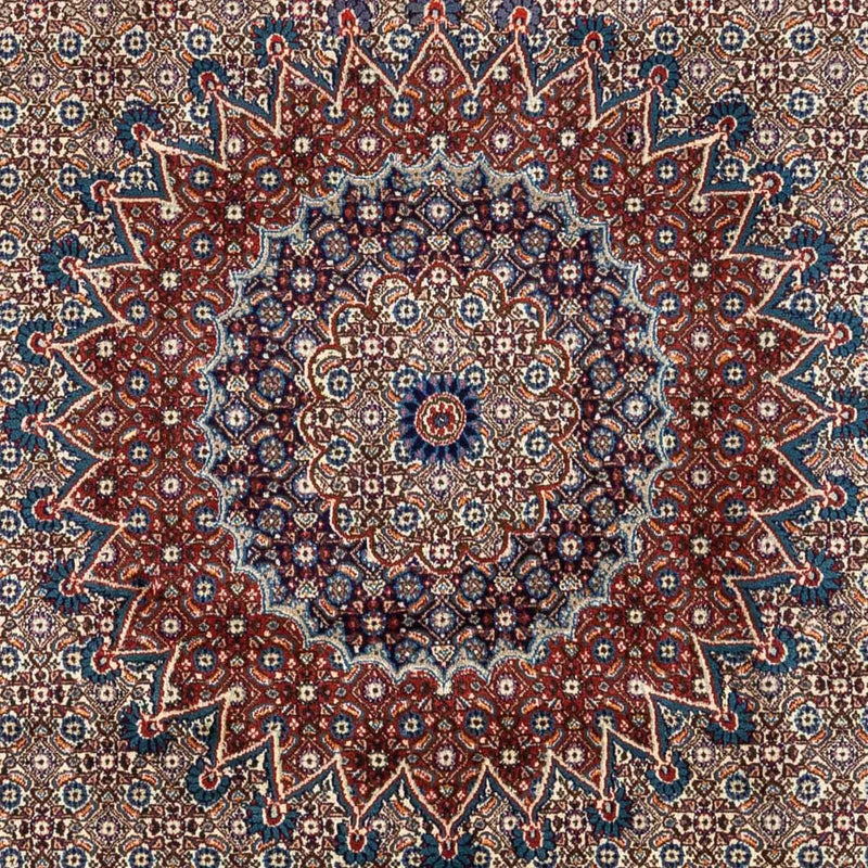 Perserteppich - Classic 332 x 245 cm