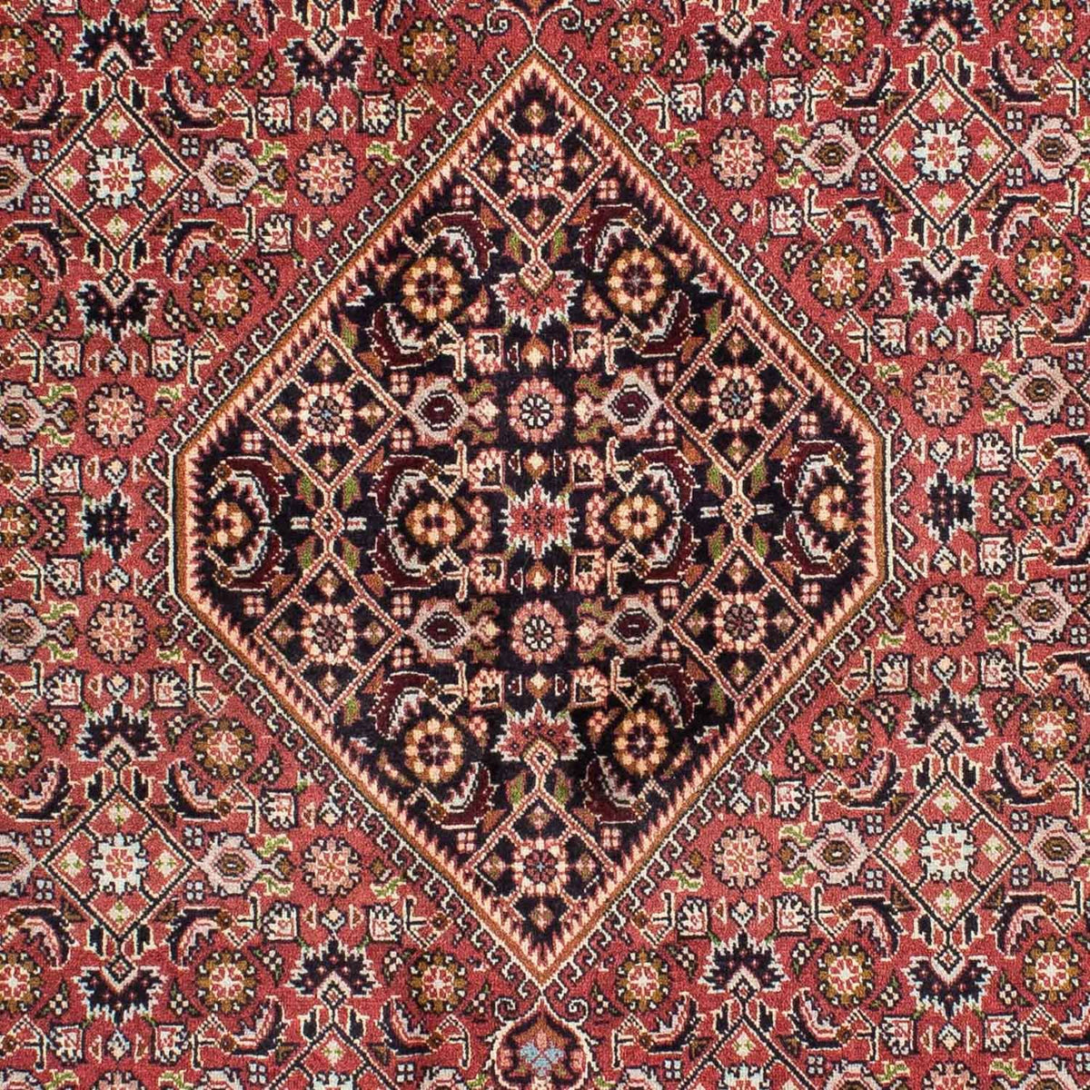 Perserteppich - Bidjar 239 x 140 cm