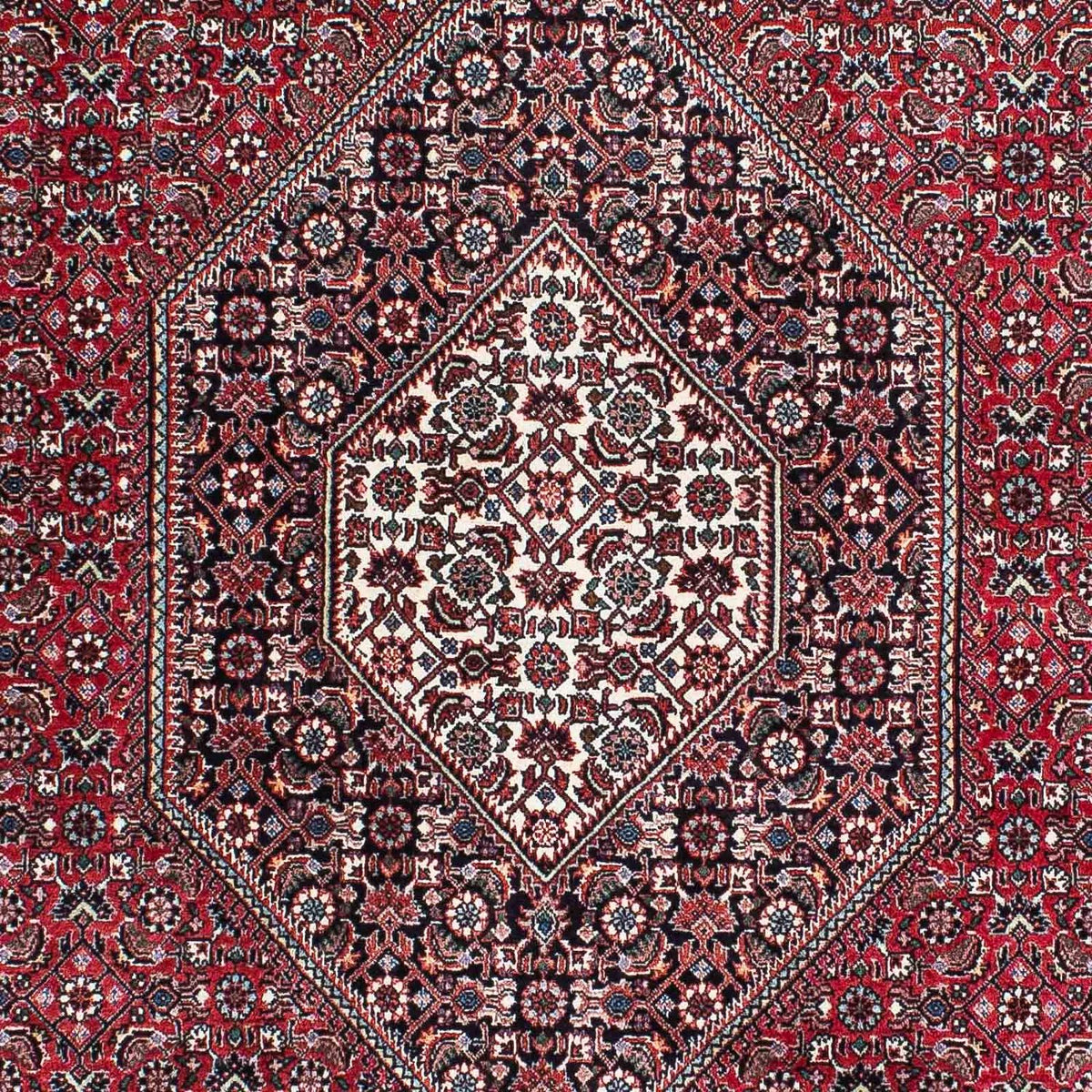 Perserteppich - Bidjar - Royal 209 x 128 cm
