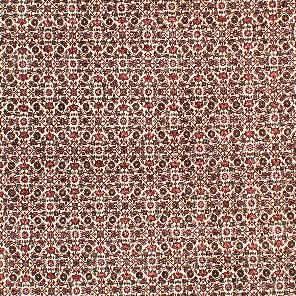 Perserteppich - Bidjar 294 x 200 cm