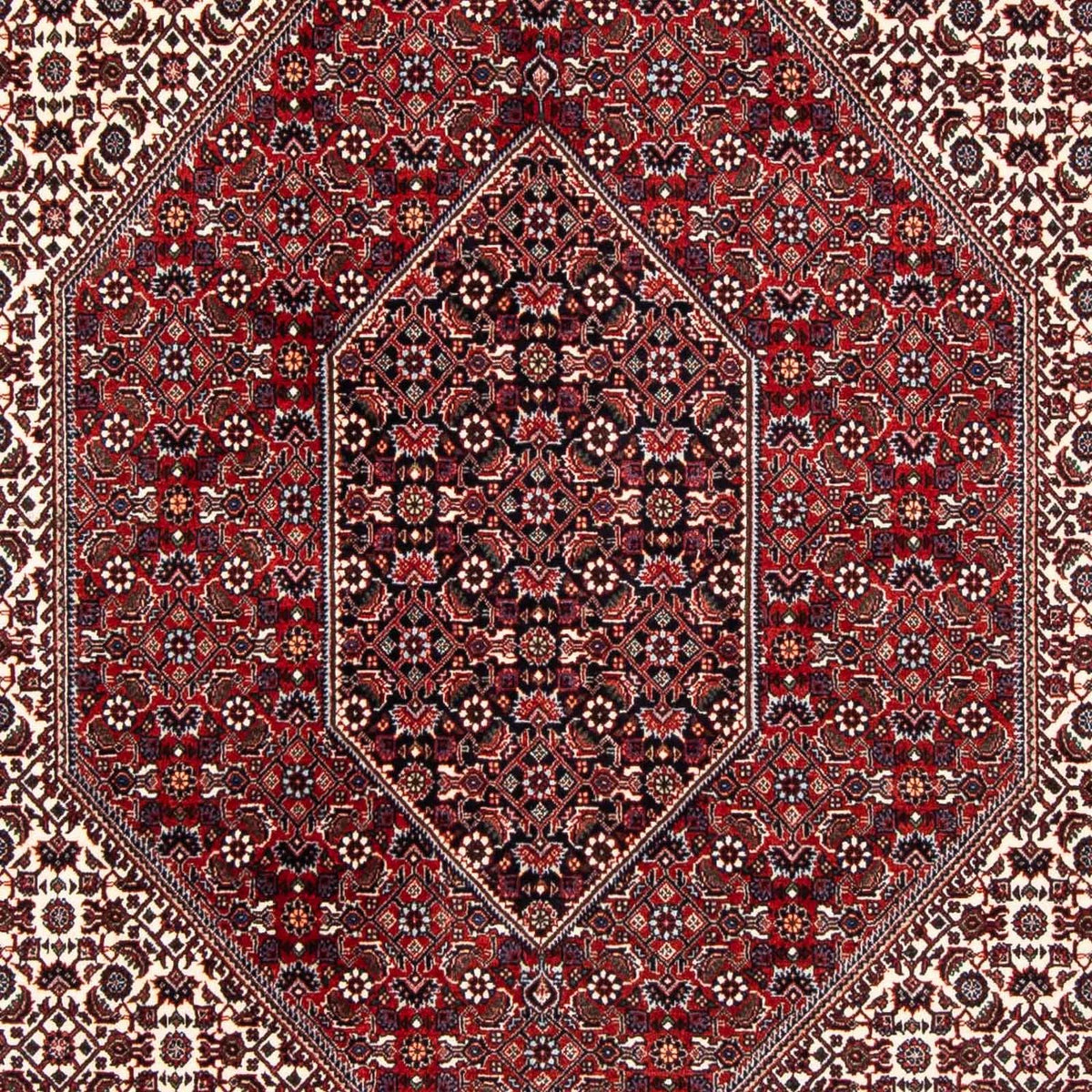 Perserteppich - Bidjar 241 x 170 cm