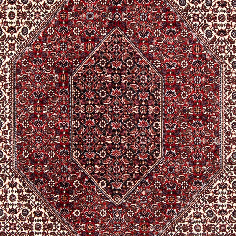 Perserteppich - Bidjar 241 x 170 cm