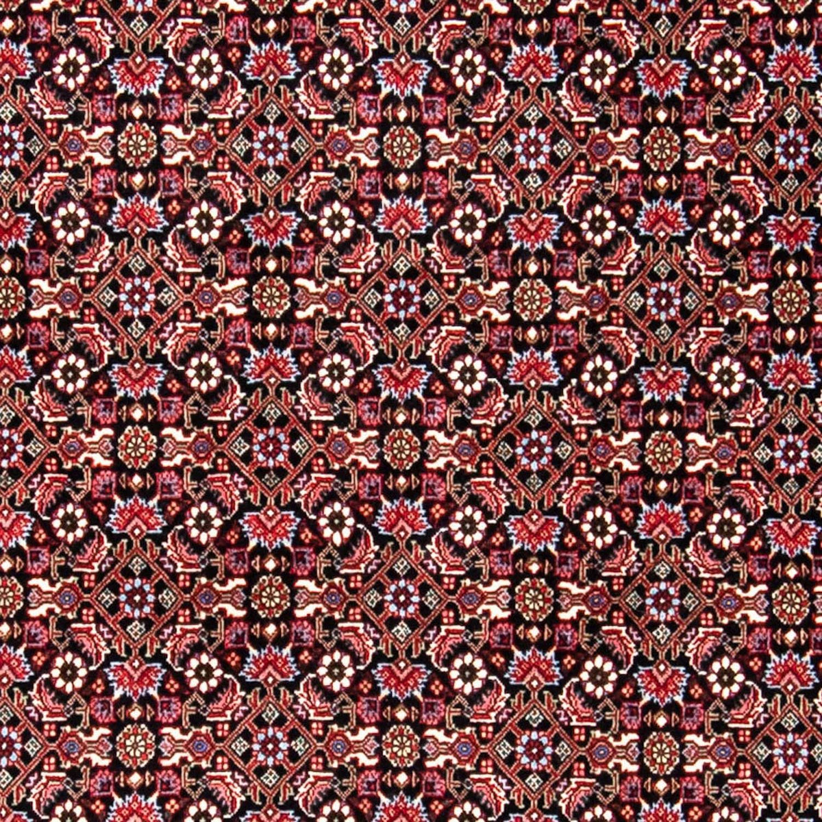 Perserteppich - Bidjar 250 x 168 cm