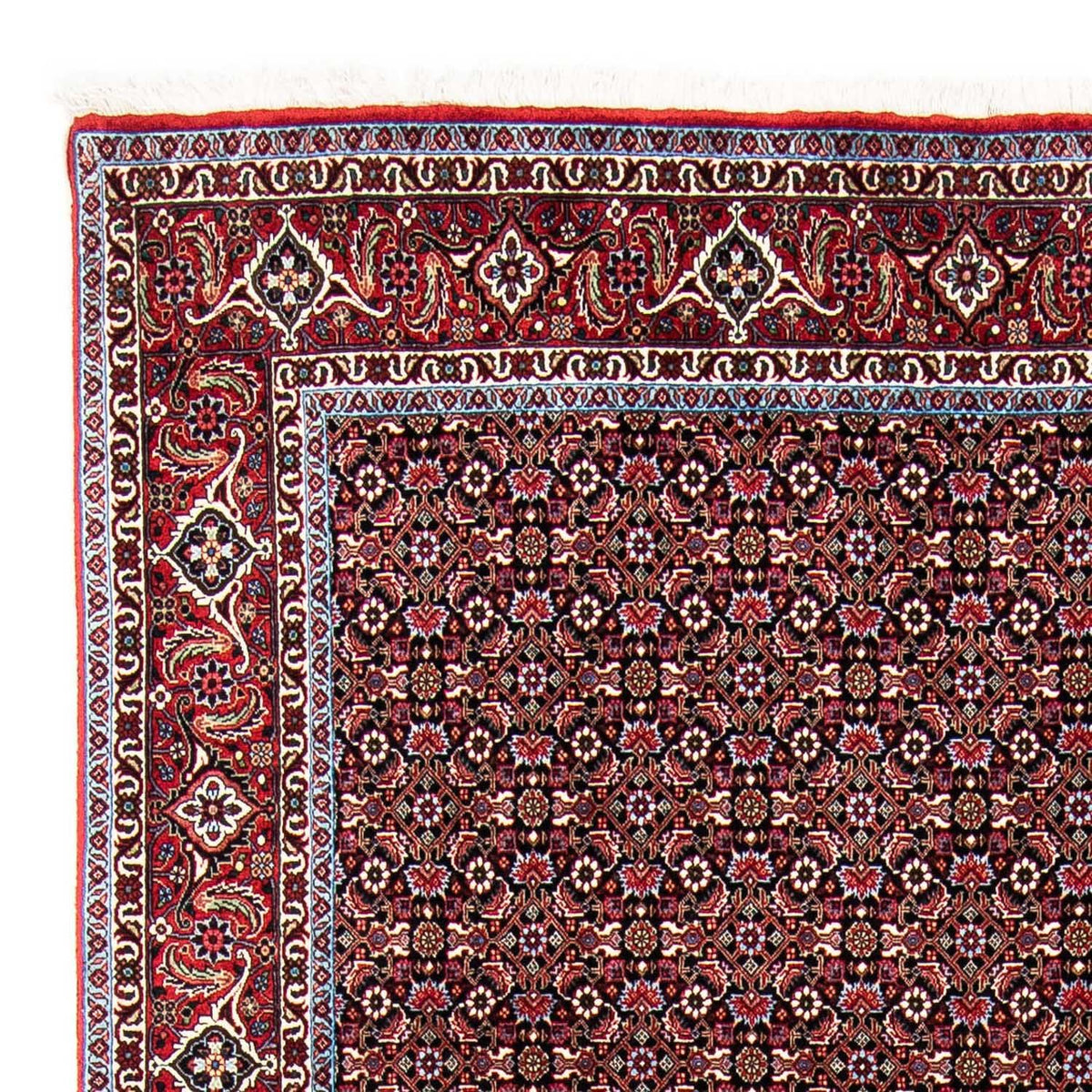 Perserteppich - Bidjar 250 x 168 cm