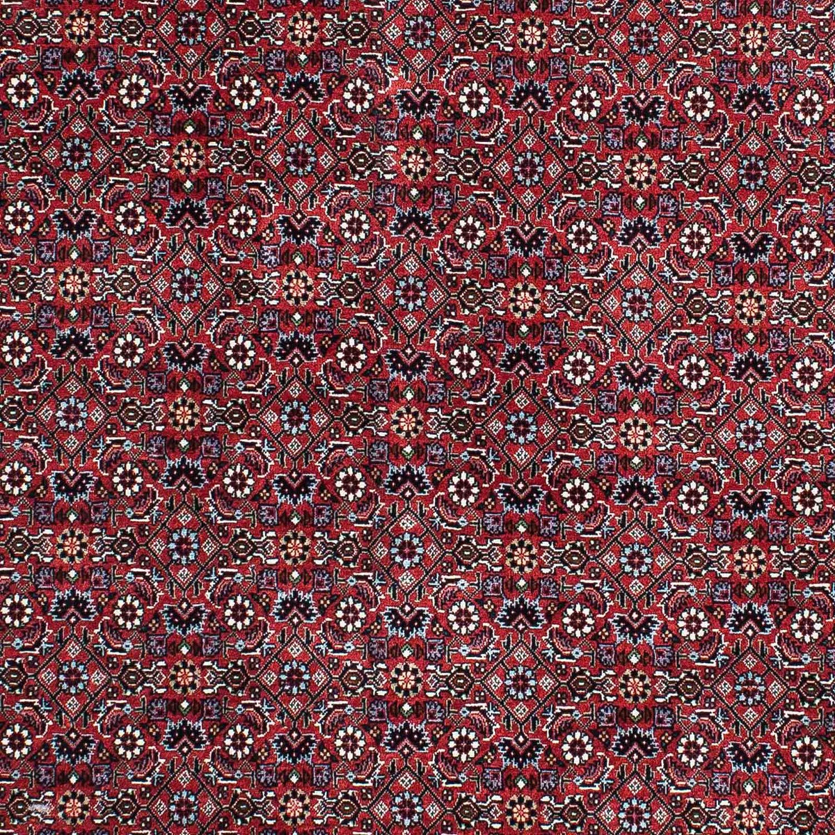 Perserteppich - Bidjar - Royal 202 x 132 cm