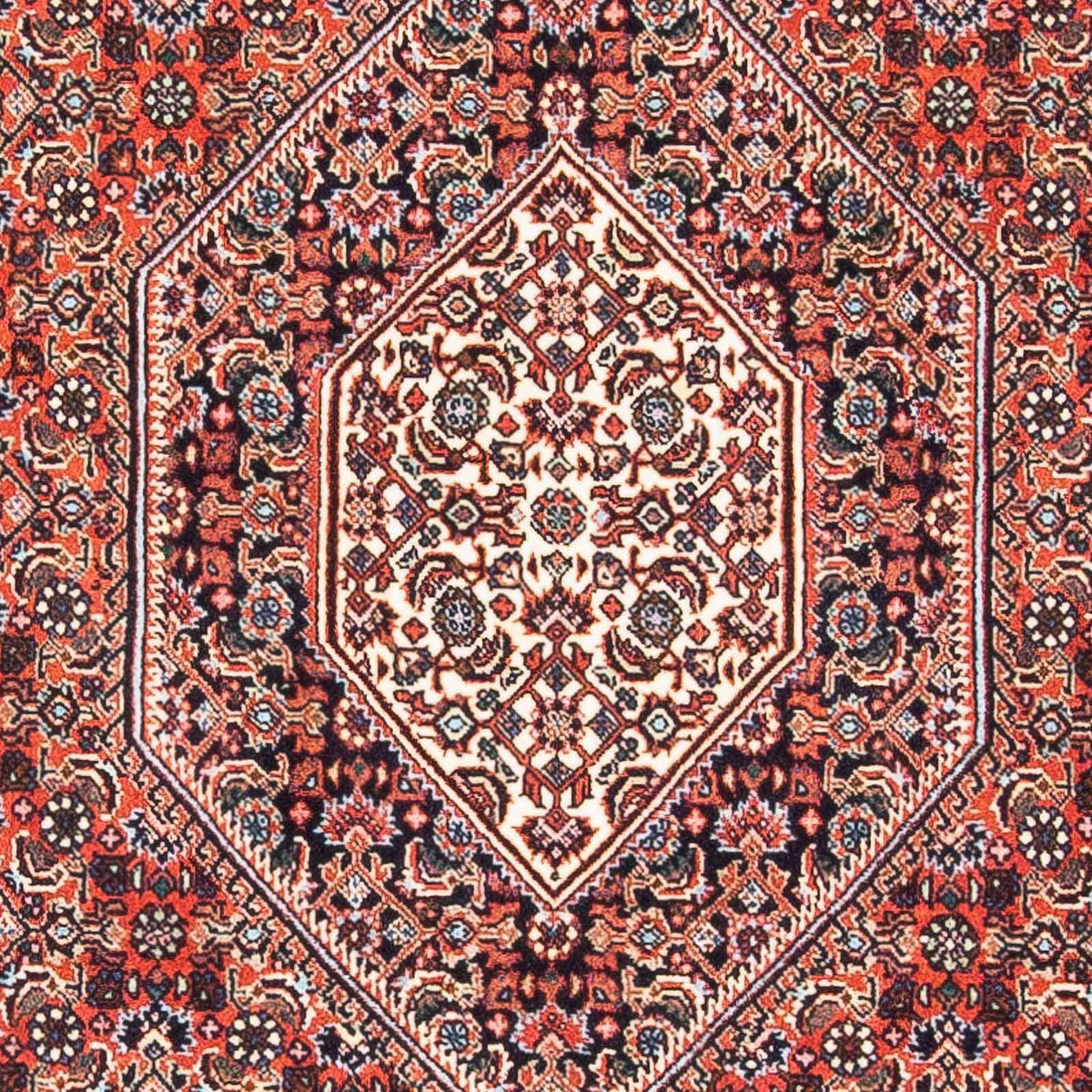 Perserteppich - Bidjar - Royal 145 x 91 cm