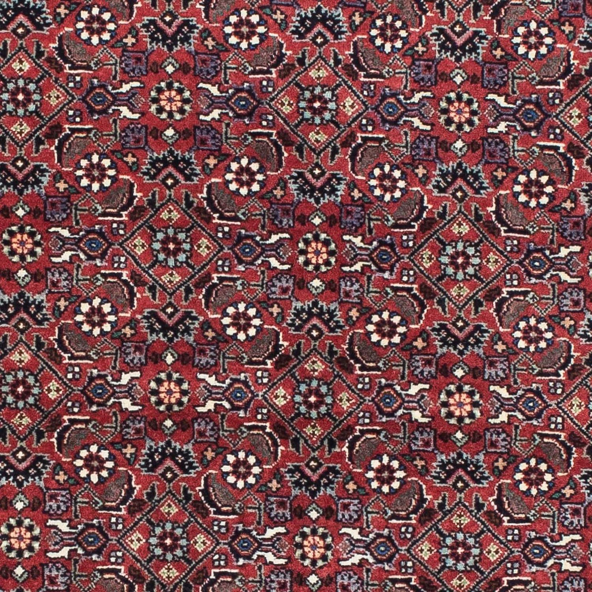 Perserteppich - Bidjar - Royal 193 x 176 cm