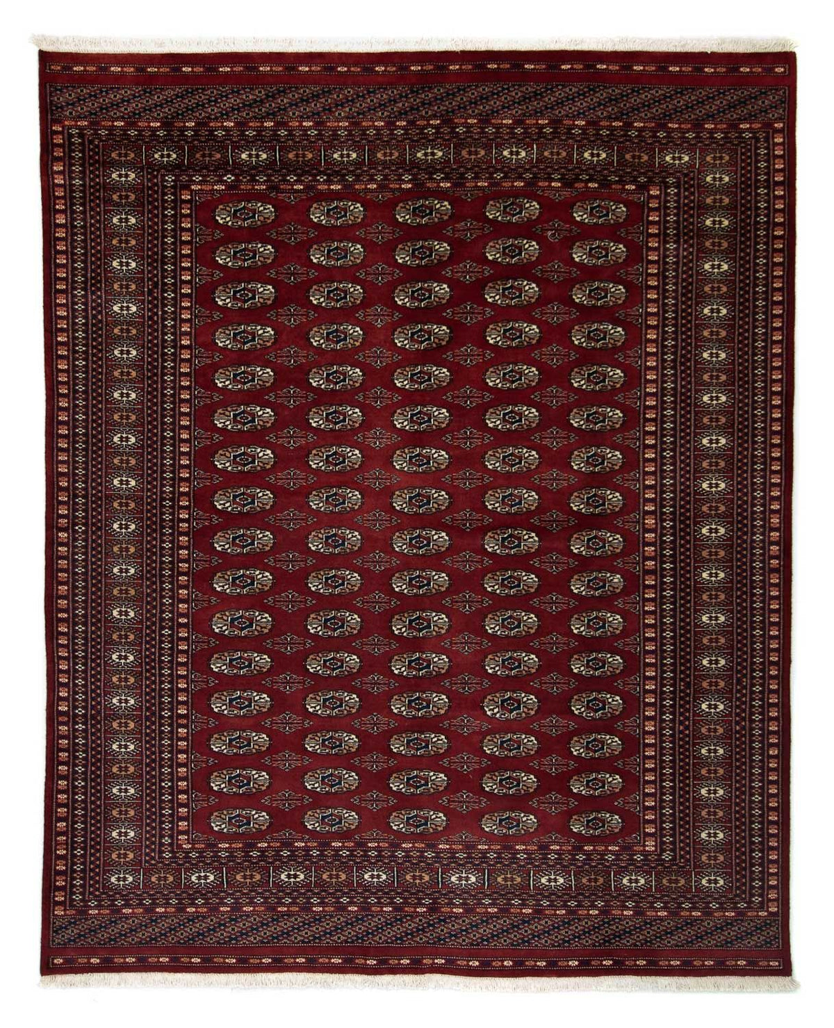 Afghan Teppich - Buchara 244 x 198 cm