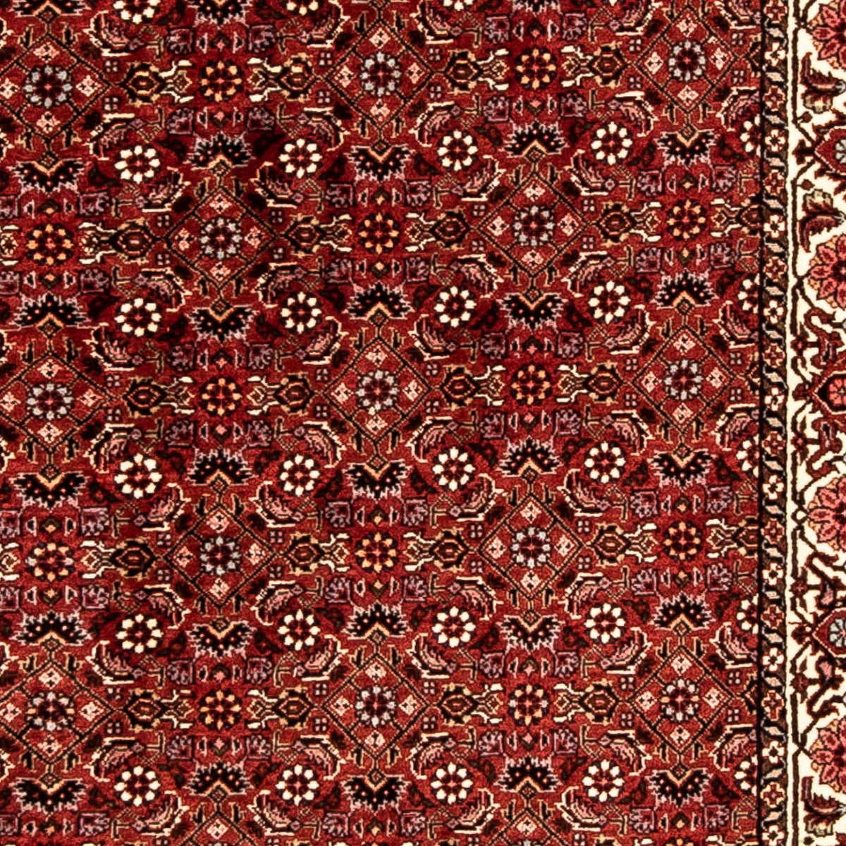Perserteppich - Bidjar 296 x 82 cm