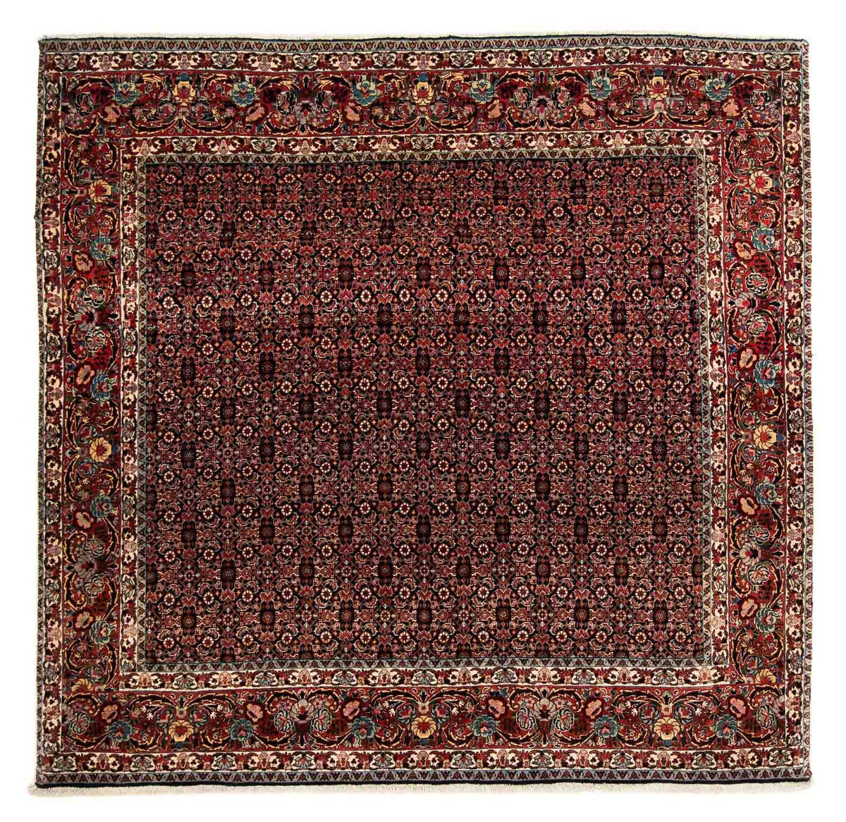 Perserteppich - Bidjar 208 x 197 cm