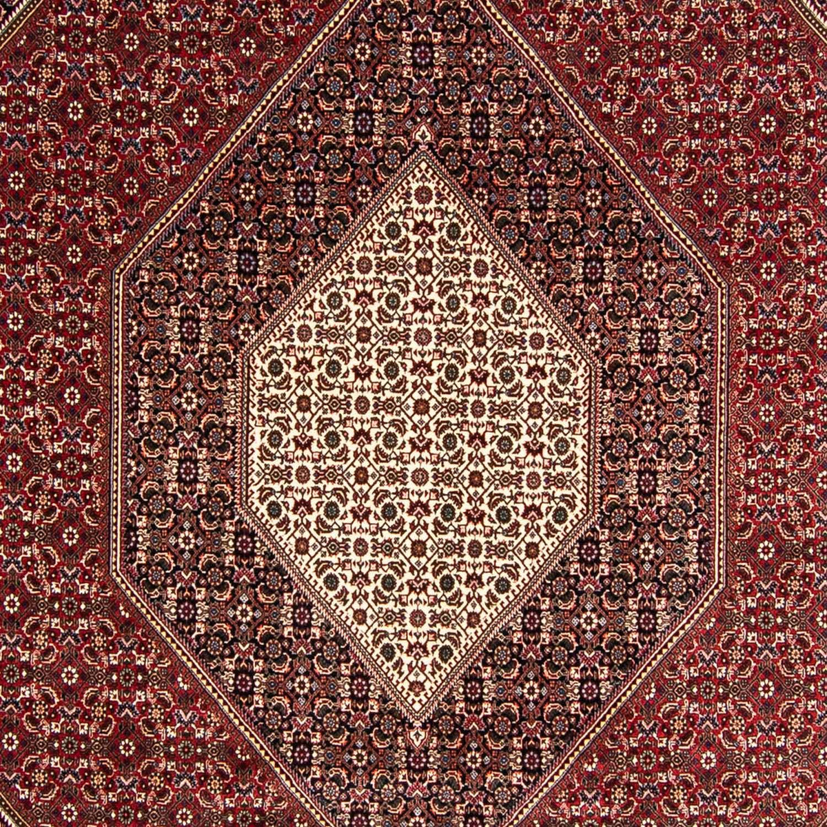 Perserteppich - Bidjar 349 x 245 cm