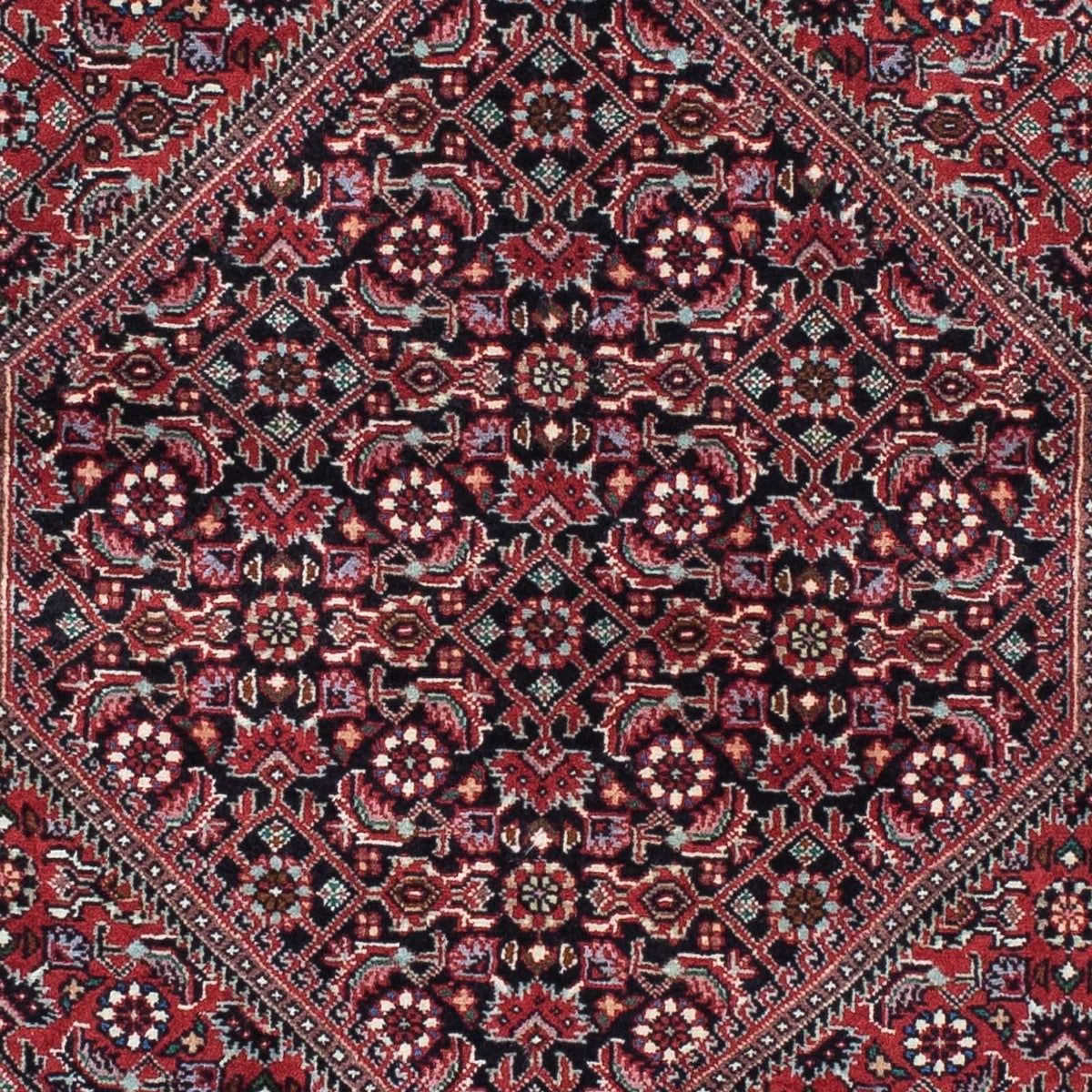 Perserteppich - Bidjar - Royal 212 x 74 cm