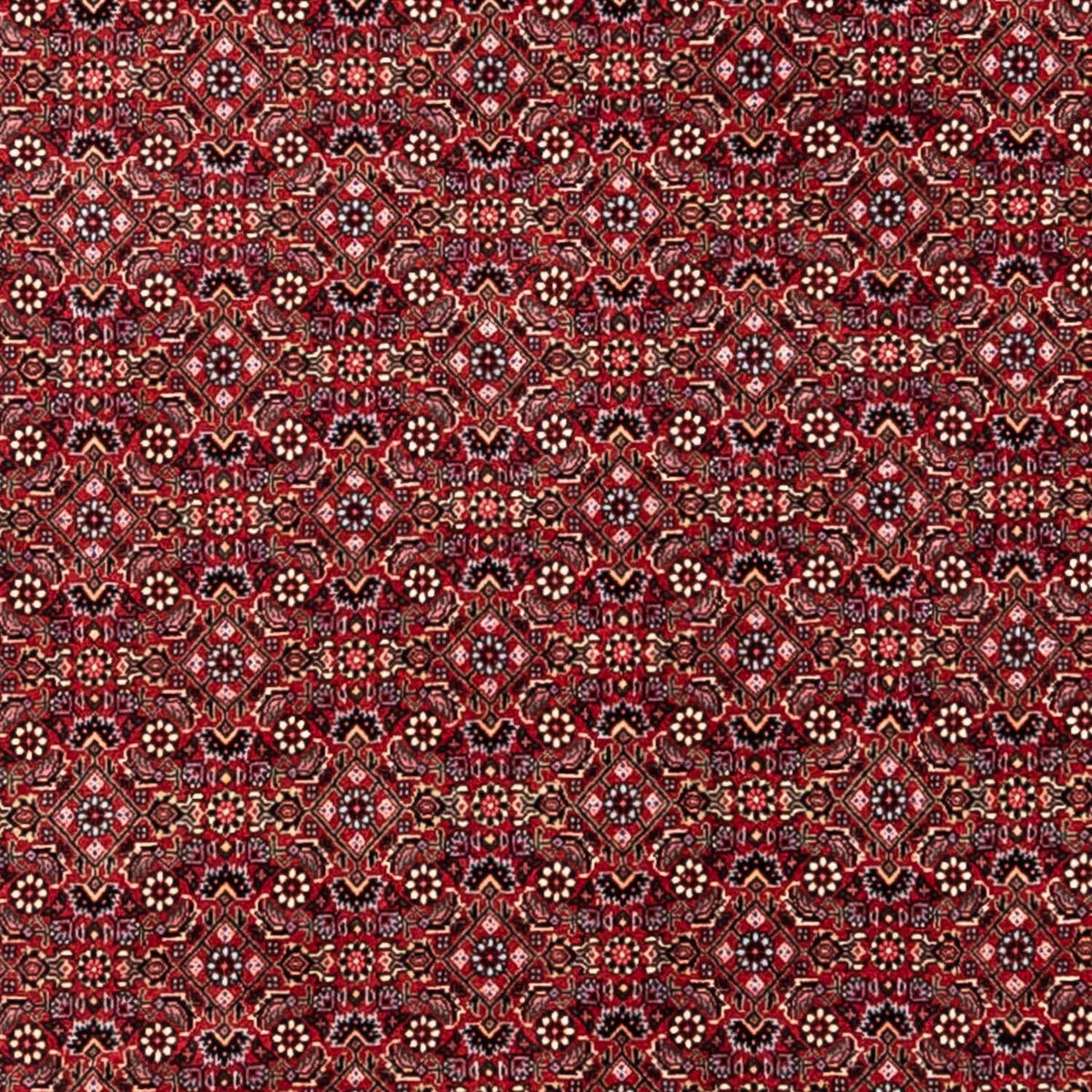Perserteppich - Bidjar - Royal 338 x 252 cm