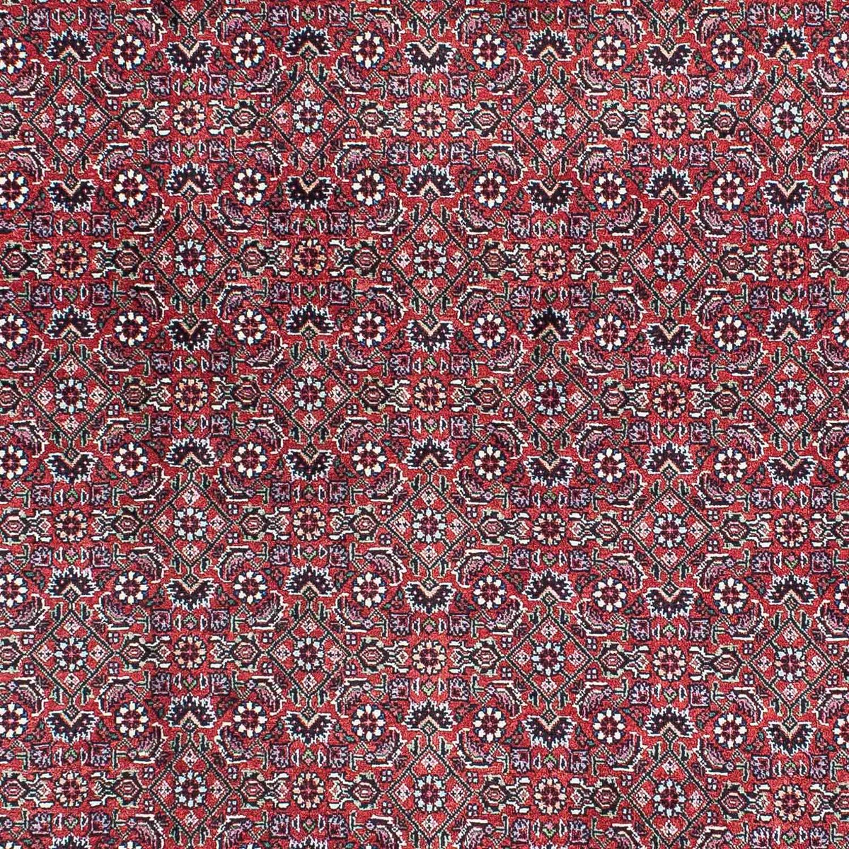 Perserteppich - Bidjar - Royal 216 x 128 cm