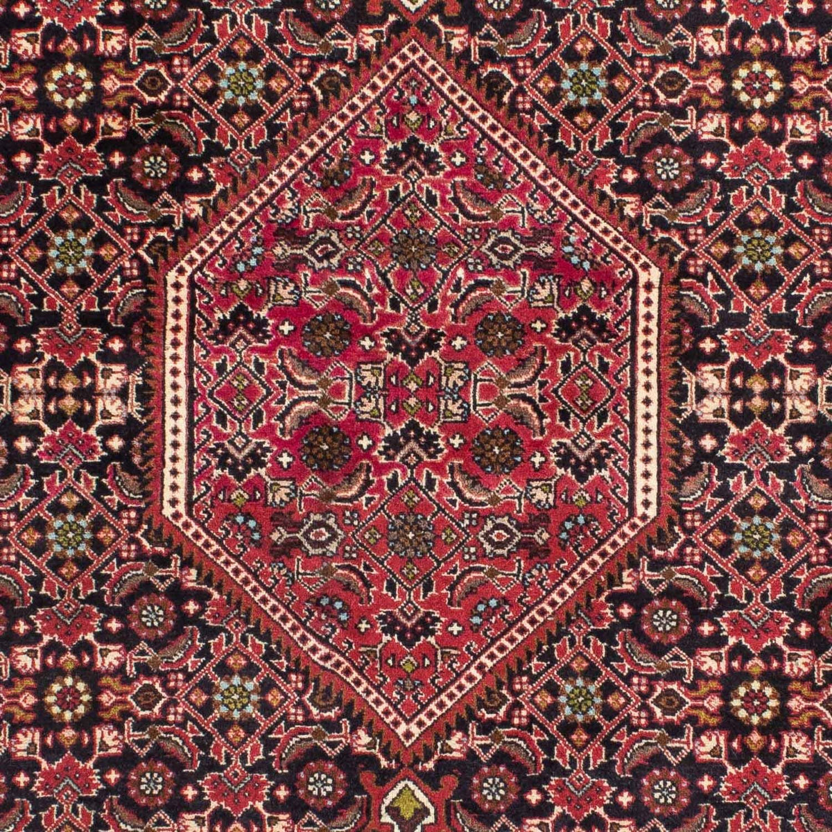 Perserteppich - Bidjar 216 x 138 cm