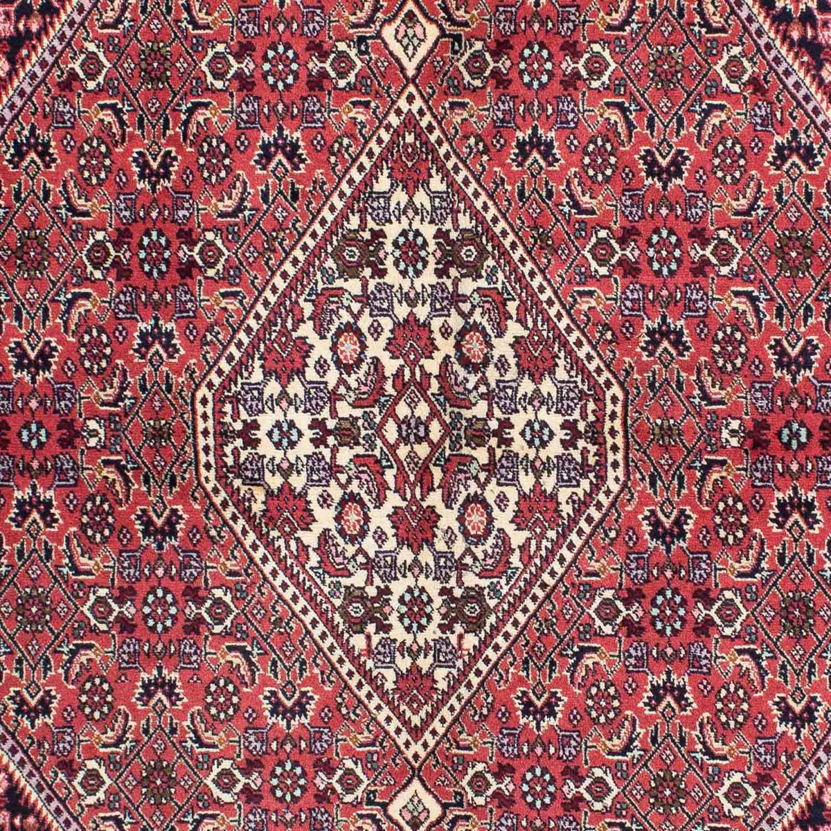Perserteppich - Bidjar 230 x 141 cm