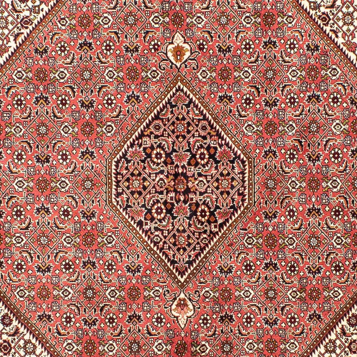 Perserteppich - Bidjar 237 x 176 cm
