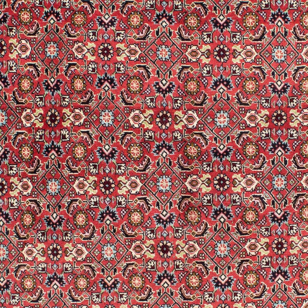 Perserteppich - Bidjar 233 x 138 cm