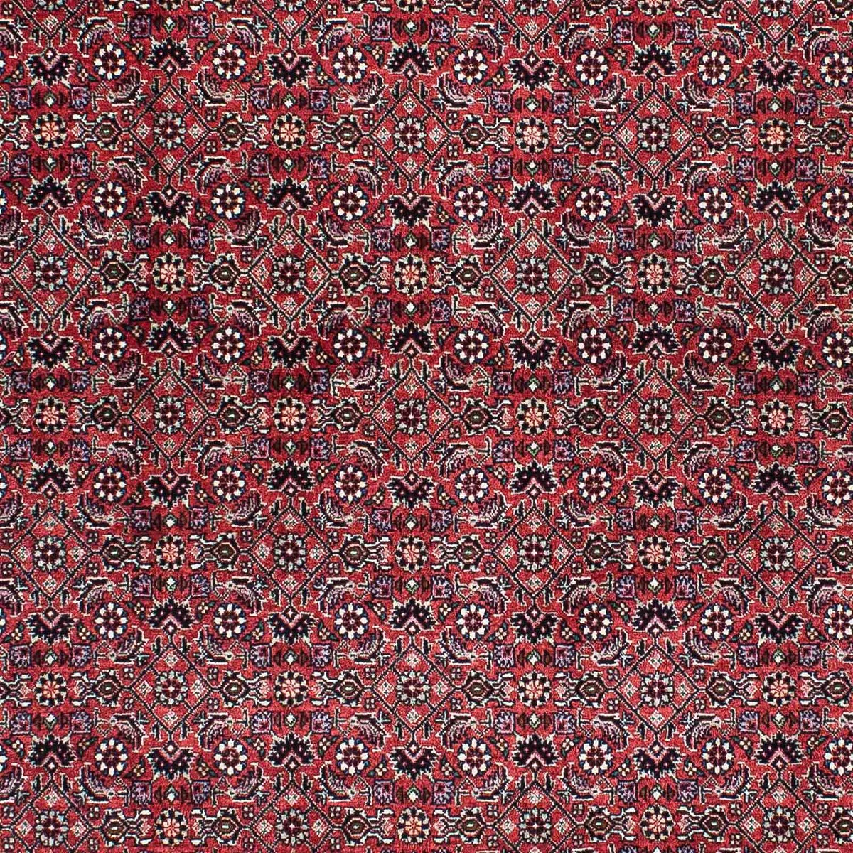 Perserteppich - Bidjar - Royal 200 x 133 cm