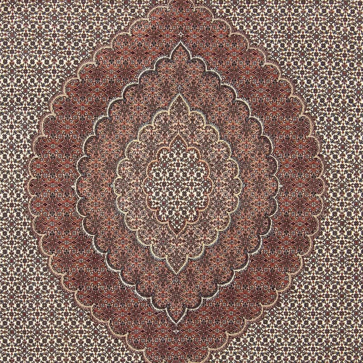 Perserteppich - Täbriz 300 x 250 cm