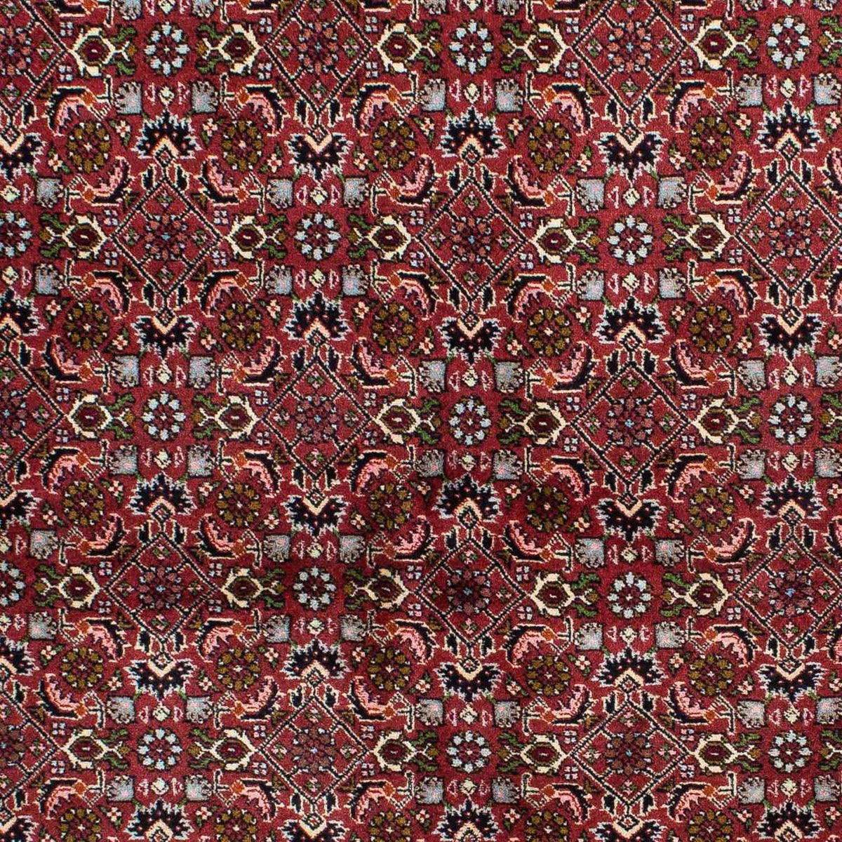 Perserteppich - Bidjar 231 x 138 cm