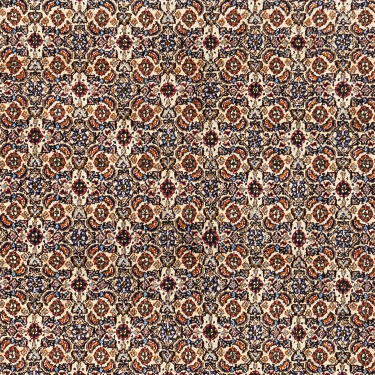 Perserteppich - Classic 234 x 174 cm