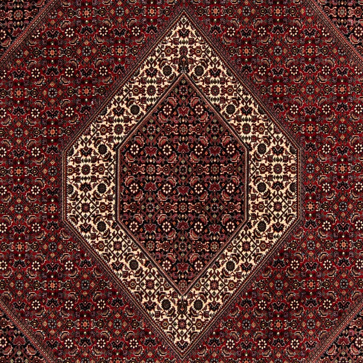 Perserteppich - Bidjar 263 x 203 cm