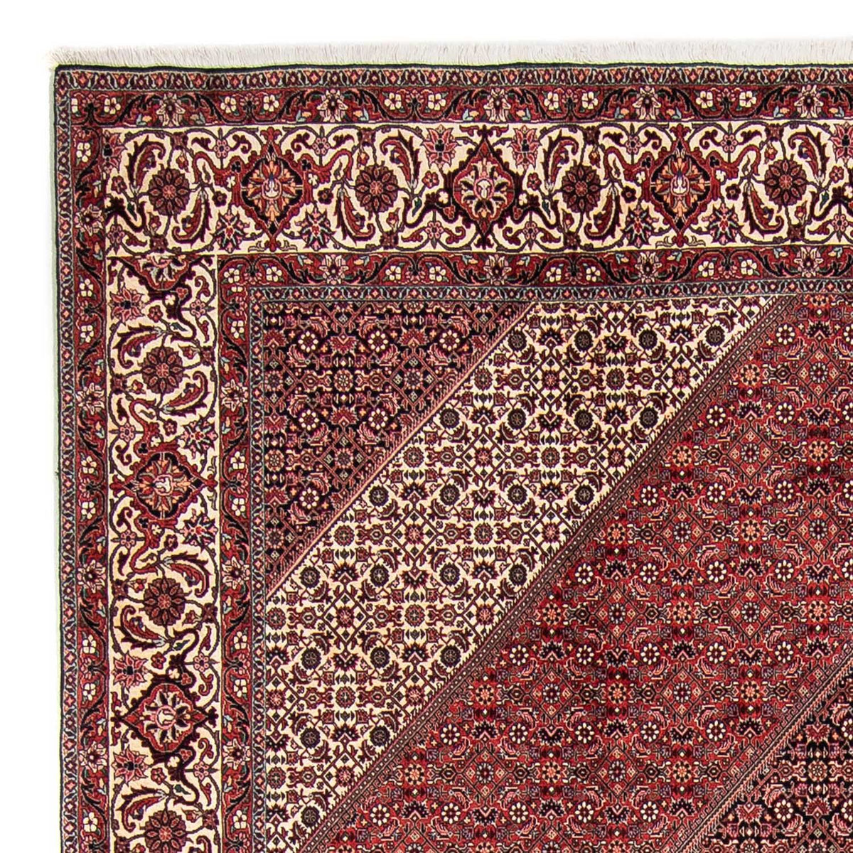 Perserteppich - Bidjar 295 x 251 cm