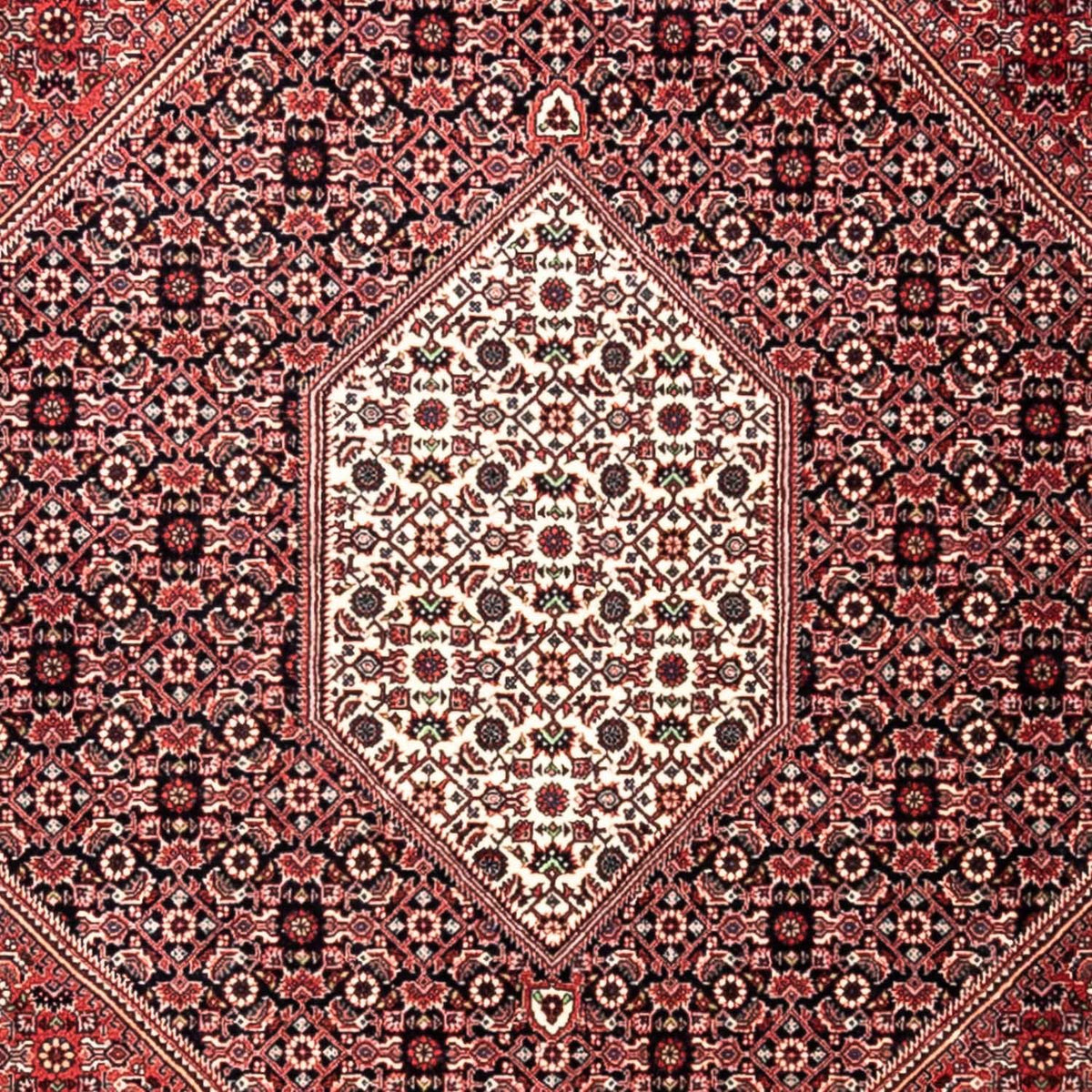Perserteppich - Bidjar - Royal 346 x 252 cm