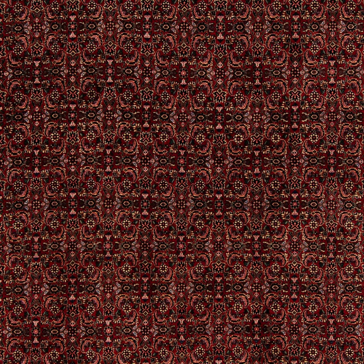 Perserteppich - Bidjar 249 x 202 cm Wohnzimmer Teppich